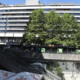 Vsebina izgine, imena ostajajo: ljubljanska poimenovanja od Šumija do McDonalds'a