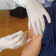 Začenjajo se akcije cepljenja proti klopnemu meningoencefalitisu