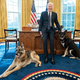 Psi Joeja Bidna v Beli hiši povzročajo nenehne škandale