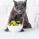 So mačke lahko vegetarijanke ali veganke?
