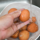 Zakaj surovih jajc ni priporočljivo spirati z vodo?
