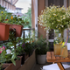 7 idej za urbani vrt, s katerim boste izkoristili vsak kotiček balkona