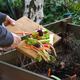 Z vnašanjem komposta na vrt lahko naredimo več škode kot koristi