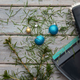 Kako koristno uporabiti posušeno božično drevo?