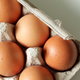 To se zgodi, če jajca shranite v zamrzovalniku
