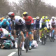 Brutalen prizor z Dirke po Flandriji: Hud množičen padec, kolesarji ležali na tleh, povzročitelj pa ... (video)