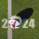 Zgrabite priložnost za originalno Adidasovo žogo EURO 2024!