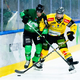 Olimpija začenja polfinale v ICEHL in tukaj je vse, kar morate vedeti