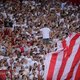 Hud incident v Srbiji: Zvezdnik Crvene zvezde pretepal Slovenca (video)