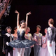V Cankarjev dom se vrača Labodje jezero v izvedbi Ukrajinskega klasičnega baleta Plesni in scenski spektakel!