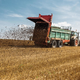 EU proučuje, kako bi z gnojili na osnovi gnoja nadomestili mineralna gnojila