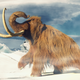 Oživljeni dlakavi mamuti bi lahko reševali planet