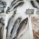 Jejmo več rib in školjk, da se trajnostno ribogojstvo ohrani