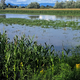 Agencija za kmetijstvo izdaja odločbe za ublažitev popoplavne škode