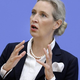 Alice Weidel, AFD za Economist: gospodarstvo, Ukrajina, evro, migranti, nacizem