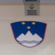 Podpisi za referendum zoper interventni zakon so zbrani. Kaj sledi?