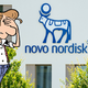Novo Nordisk lovi sapo in kaže znake življenja. Dajem mu še osem mesecev