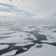 Podnebni pomen morskega ledu (in njegov vpliv na kroženje oceanov)