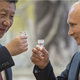 »Xi sesul Bidna na prafaktorje!« Ocena ameriškega časnika: Peking je začutil neenotnost Washingtona