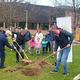 V Vuzenici so zasadili medovita drevesa v sodelovanju z Rotary klubom Maribor park
