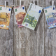 Po julijskem padcu plače tudi avgusta nižje
