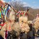 Pustovanja bodo ta vikend zavzela Koroško
