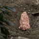 (FOTO) Iz fragmentov preteklosti v sodobni prostor: Peter Rauch v Galeriji raum AU
