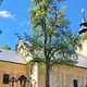 Velika Gospojnica na Homcu kljub gradnji hitre ceste po ustaljenem programu