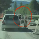 VIDEO: Sopotnik med vožnjo skozi okno podiral stebričke na delovišču pri Velenjskem jezeru
