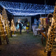 Božično pravljico na domačem dvorišču krasijo »domače« jaslice in več kot 27.000 prazničnih lučk