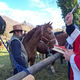 FOTO: Blagoslov konj v Vranju