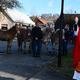 Blagoslov konj v Stranski vasi