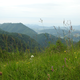 Kozjanski park pridobil Interrregov projekt za ohranjanje suhih travišč