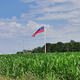 FOTO: Na Štajerskem izobesili eno od dveh največjih slovenskih zastav