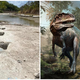 Oglejte si 113 milijonov let stare stopinje dinozavra, ki jih je doslej skrivala reka