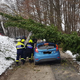 FOTO: Na Sveti Ani na vozilo padlo drevo, na pomoč priskočilo 11 gasilcev