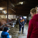 Štajerec, predan svojemu delu, postal Inovativni mladi kmet 2023