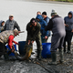 FOTO: Velik izlov rib iz Perniškega jezera, somi težki tudi 30 kilogramov