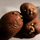 Kaleči in nepravilno shranjen krompir je lahko celo strupen