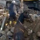 VIDEO: V Turčiji po 21 dneh izpod ruševin rešili živega konja