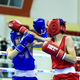 V Mariboru se bliža 20. Evropsko prvenstvo v boksu za mlajše