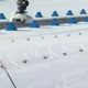 VIDEO: Kosmati vsiljivec presenetil tekmovalke na olimpijskih igrah
