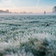 Izjemno mrzlo majsko jutro, temperature padle pod ledišče