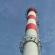 FOTO: Ste vedeli, da na dimniku Energetike Maribor že več kot 20 let gnezdi postovka?