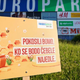 Europark ob svetovnem dnevu čebel spodbuja ohranjanje opraševalcev