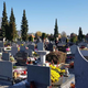 V Mariboru slovo od bližnjih kmalu dražje? Takšne cene predlaga mariborsko pogrebno podjetje