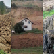 V Halozah ji plaz grozi, da bo odnesel dom, pred operacijo pa jo najbolj skrbi 18 mačk