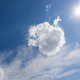 Vročina se ne da: V začetku tedna se pripravite na zelo visoke temperature