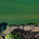 Drava razkrila skrivnost, ki je večino časa skrita pod gladino