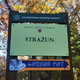 Bi lahko v Stražunskem gozdu prepovedali avtomobile? To pravi mariborska občina